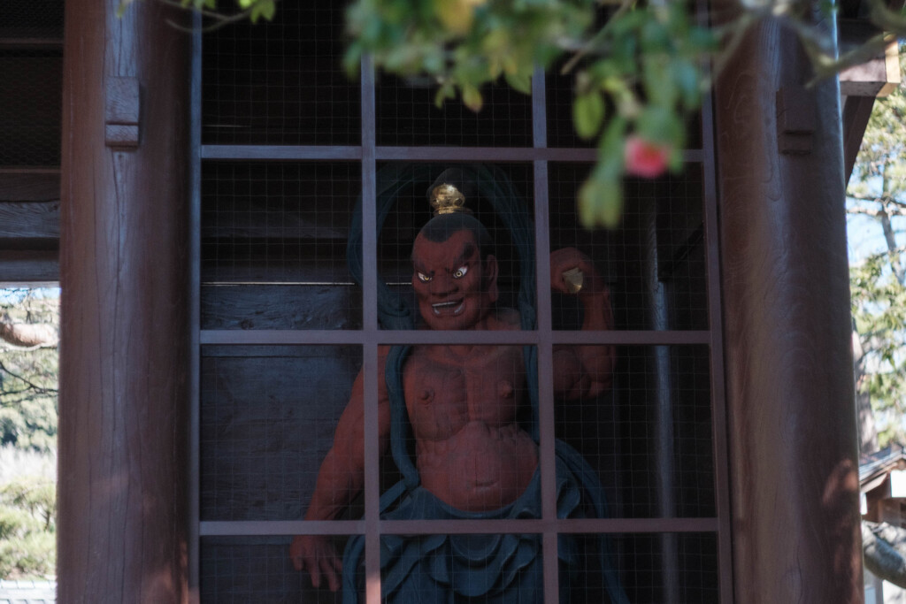 鎌倉・高徳院（大仏殿）２