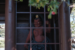 鎌倉・高徳院（大仏殿）２