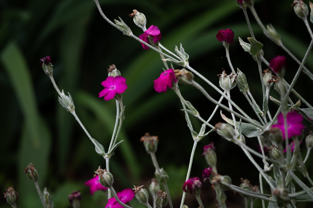 川沿いの小径にて