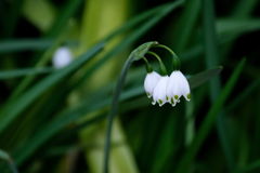 庭先のペンダントライト