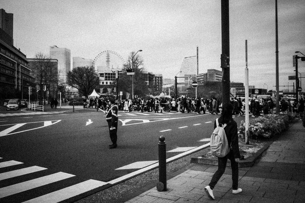 日本人だけで十分