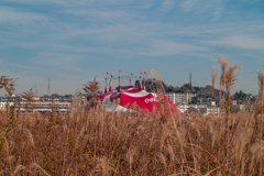 サーカスがやって来た