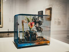 あなたのポートレート