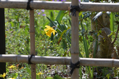 お疲れ様でした