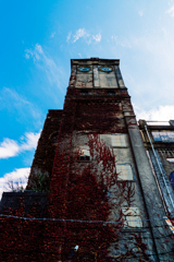 這い上がる紅葉