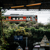 見慣れぬ車両が旅情をそそる