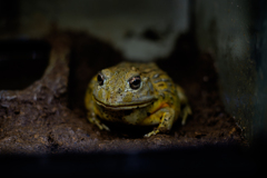 苦手な方ごめんなさい