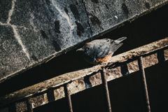 and　Ｂ　Ｌ　Ｕ　Ｅ