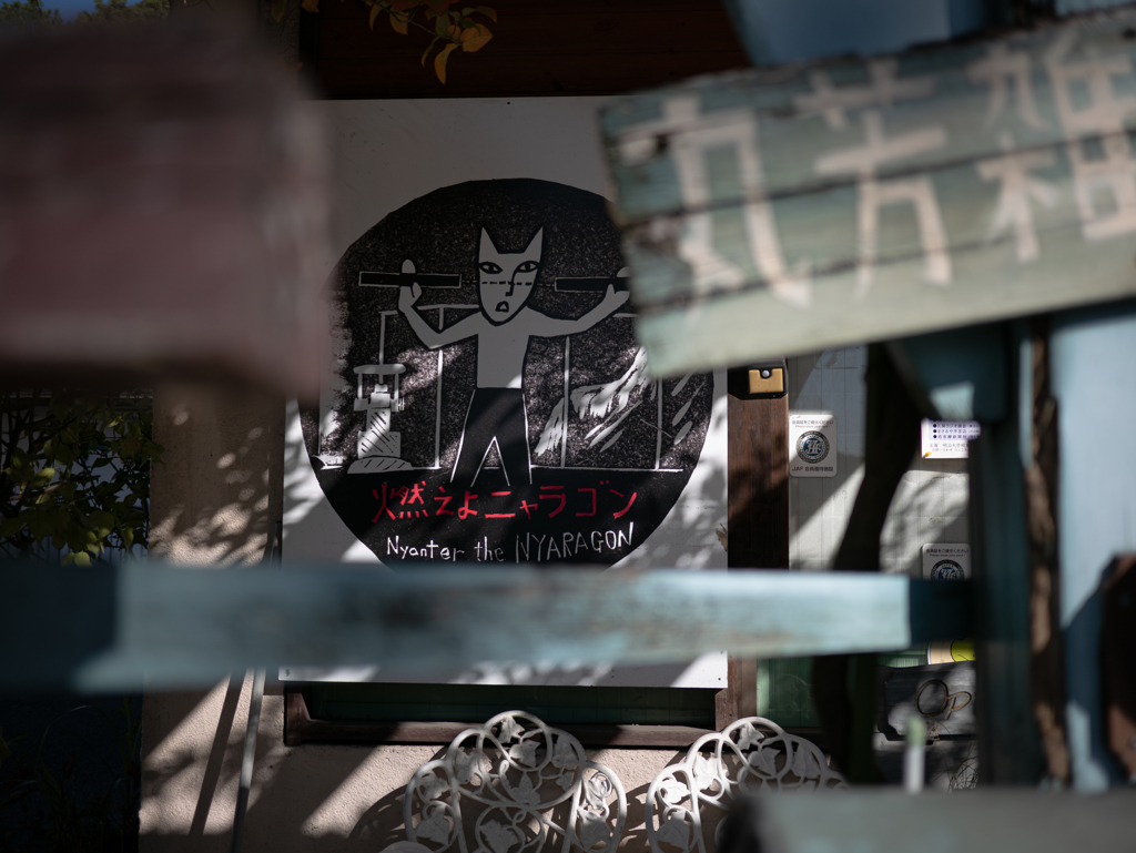 何が何でも猫５