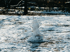 子供たちの笑い声が溶けてゆく