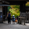 色付きはじめ