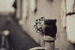 華やかな温室の裏で