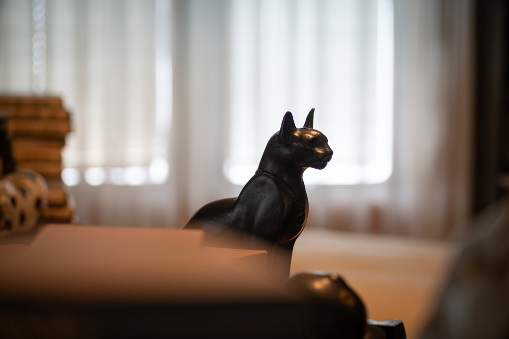 大佛次郎の猫たち９