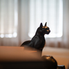 大佛次郎の猫たち９