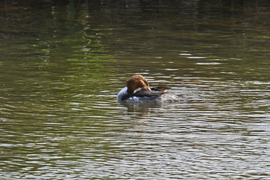 女子は身だしなみ