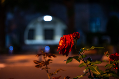 夢は夜開く ２