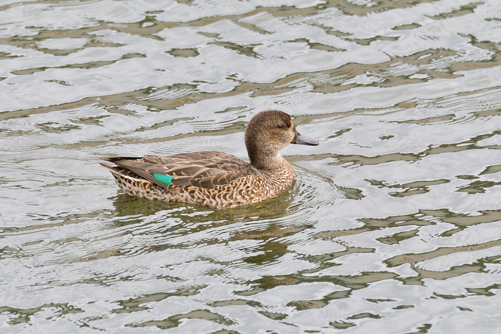 色が出始めました。