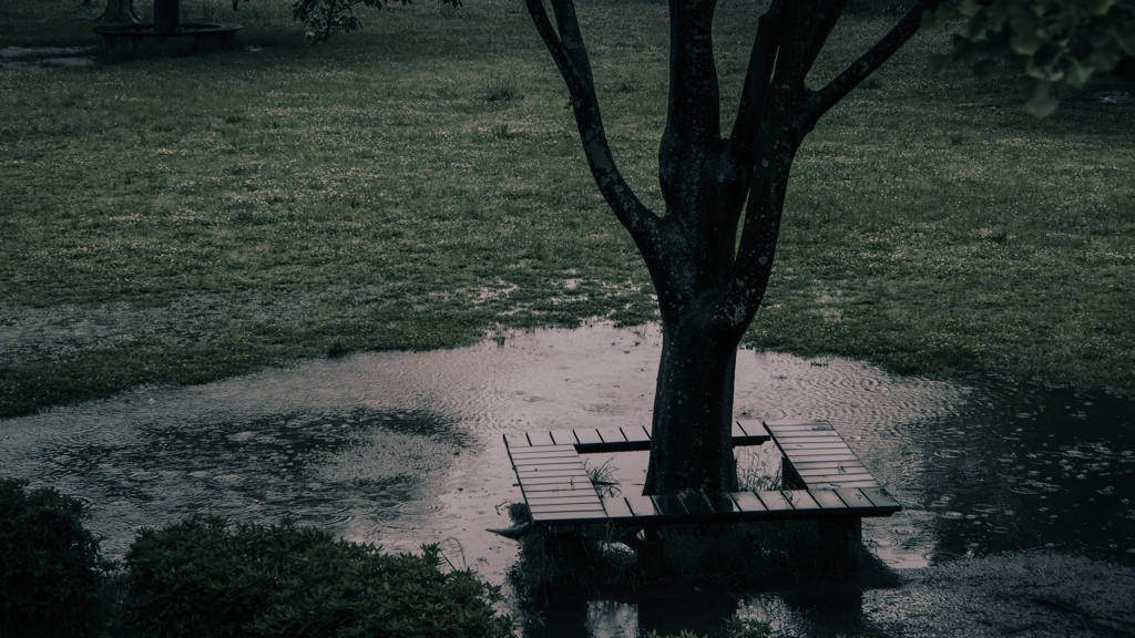 雨音