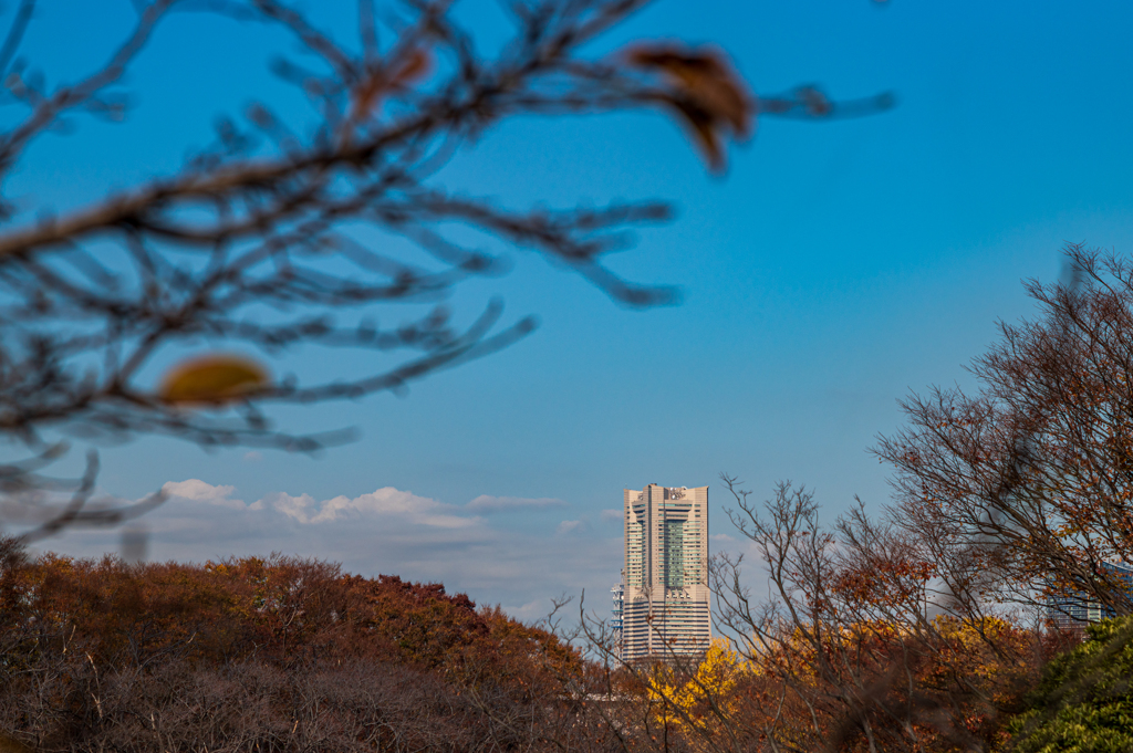 冬晴れ