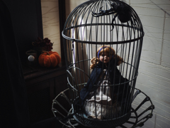 今夜も一人 今夜も一人