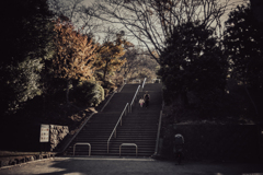 昼下がり