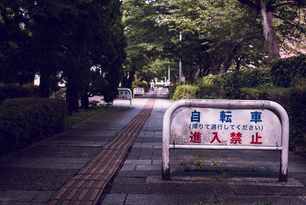 自転車との折り合い