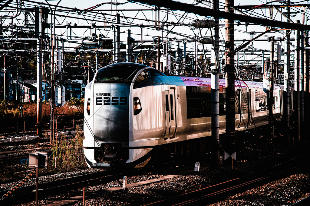 鉄分補給（修行中）