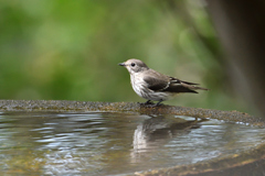 色々やって来ます。