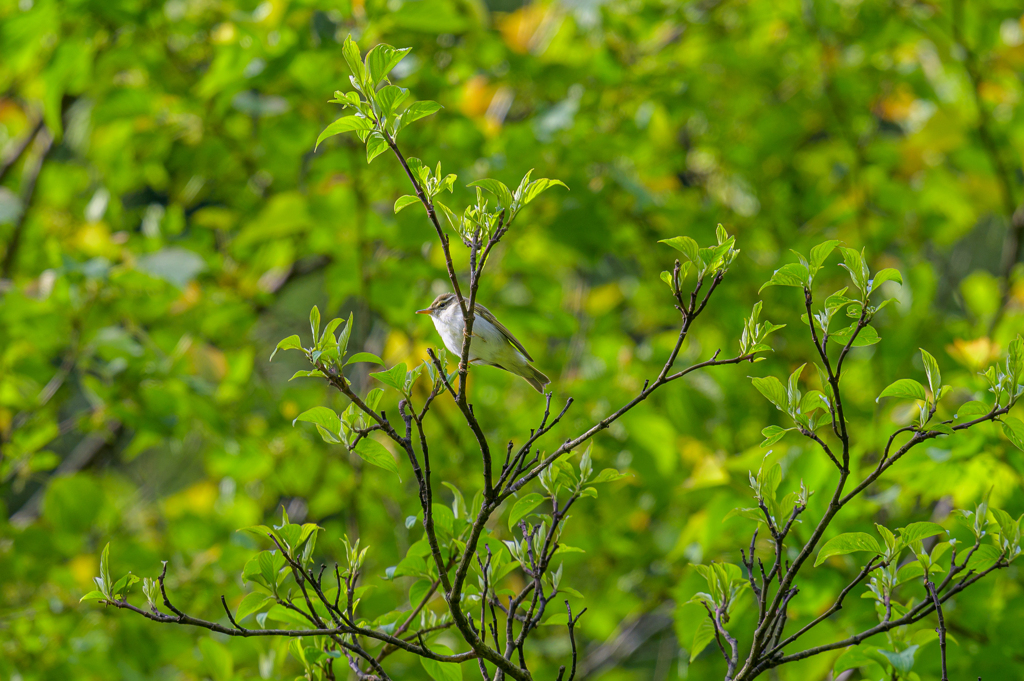 ふと見上げれば