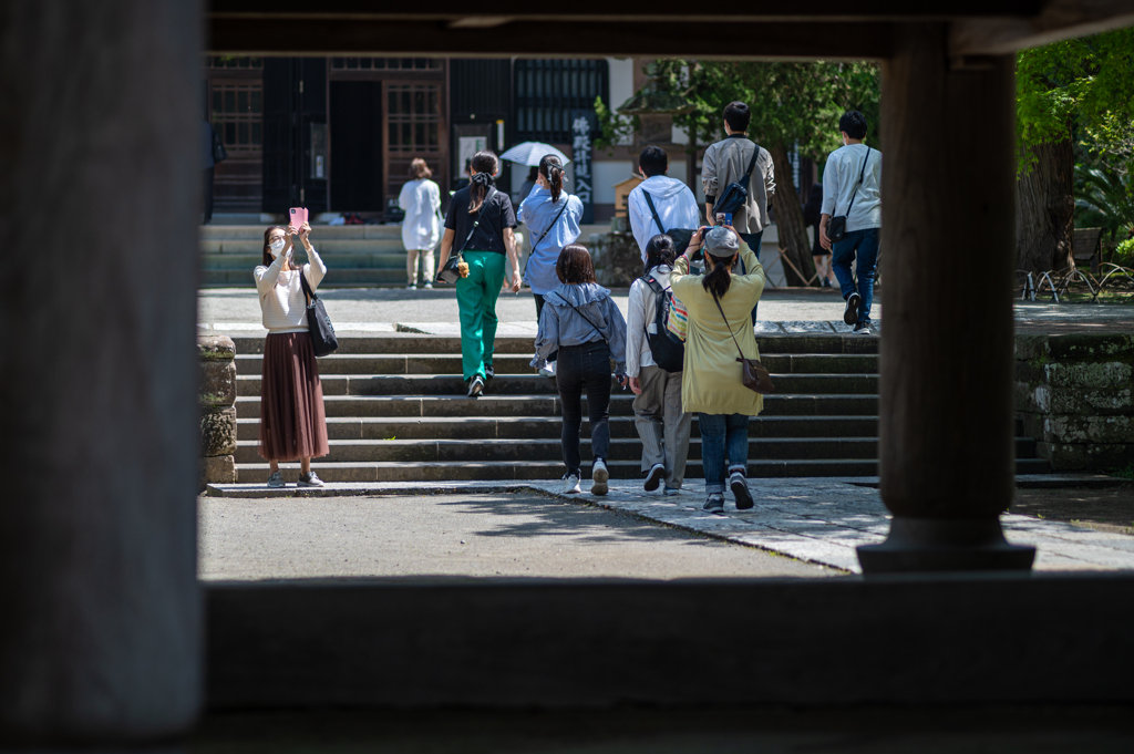 古都日和２（北鎌倉・円覚寺にて）