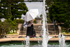 水景
