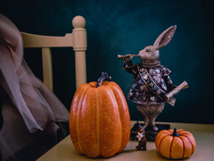 Alice in Wonderland Alice in Wonderland