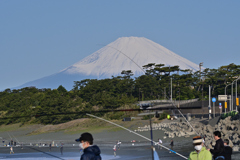 釣り日和