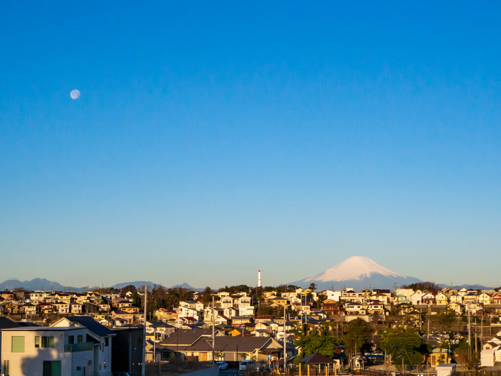 月が居る朝