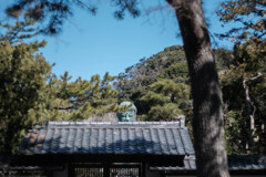 鎌倉・高徳院（大仏殿）