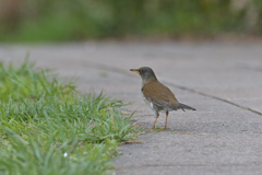 すっかり大胆に