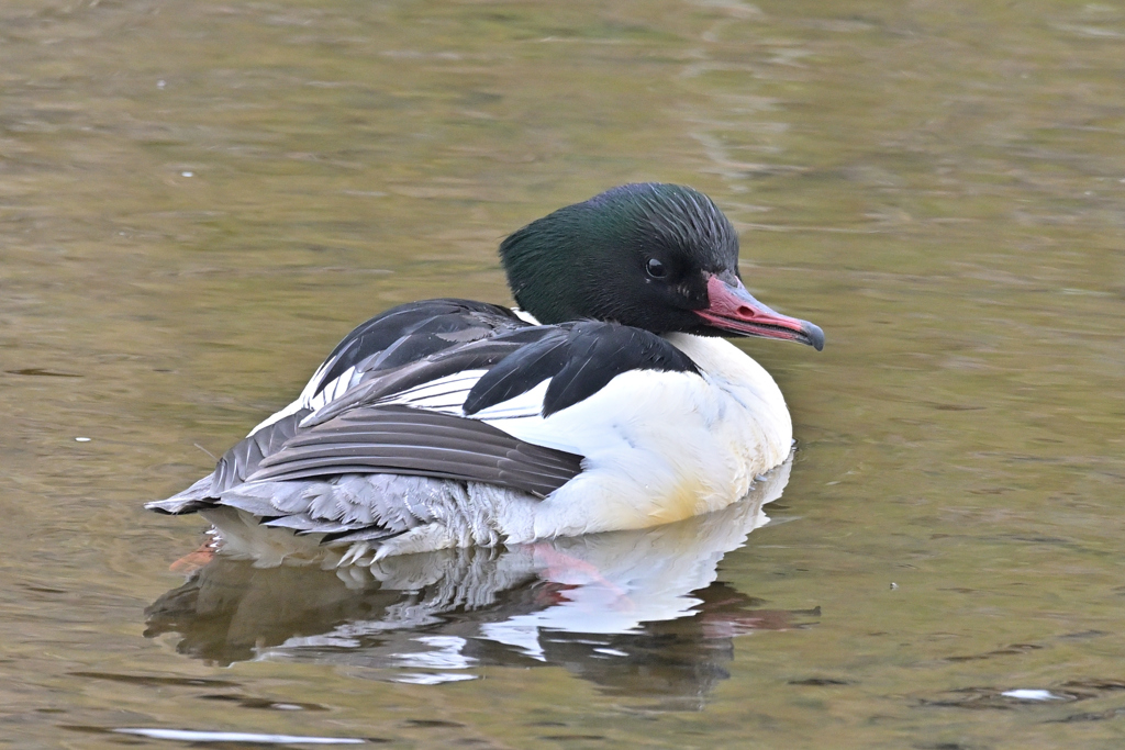 曇ってて暗かったんですけどね。