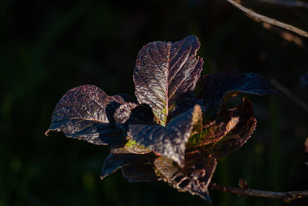 11月も終わりますね