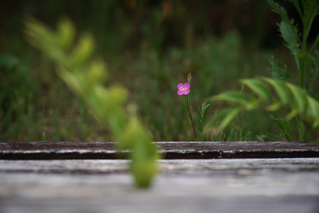 Alone