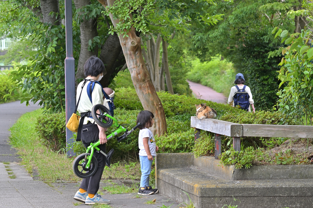 「ネコちゃん、ねてるの？」