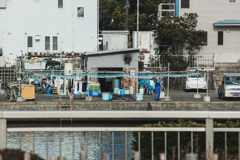 干物職人氏の朝
