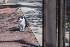 ん？