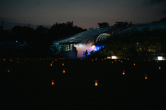 真夏の夜の植物園