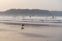 続・ウミネコの浜