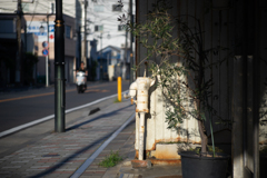 街中の“いにしえ”