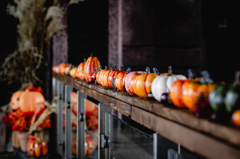 Pumpkin Party ２