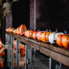 Pumpkin Party ２