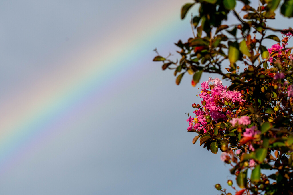 こんな時に限って、広角レンズ持ってきてない…（涙）