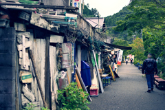 宮ケ瀬湖畔園地