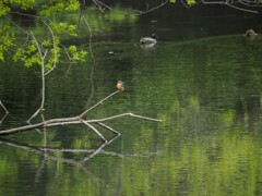 曇った日の朝２